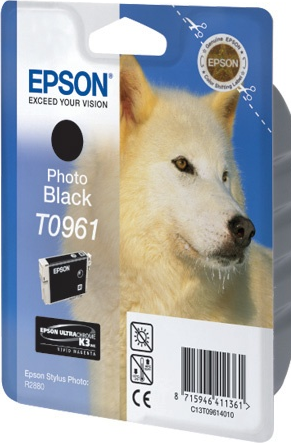Картридж струйный Epson оригинальный C13T09614010 T0961 для R2880 (Photo Black) (cons ink) Картридж струйный Epson оригинальный C13T09614010 T0961 для R2880 (Photo Black) (cons ink)