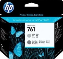 Печатающая головка оригинальная HP №761 (CH647A) для HP Designjet T7100 (gray / dark gray)