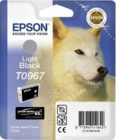 Картридж струйный Epson оригинальный C13T09674010 T0967 для R2880 (Light Black) (cons ink)